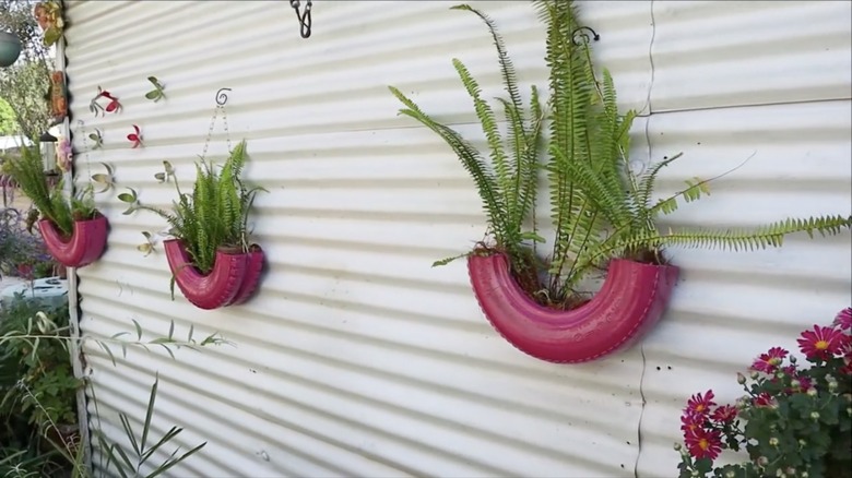 plants in tire flower pots