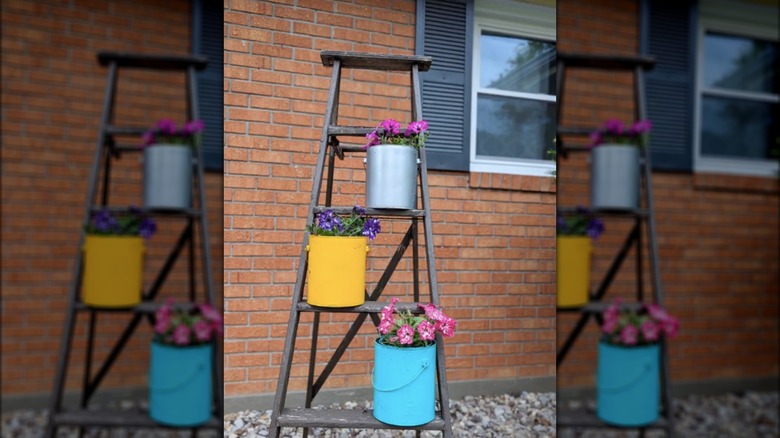 flowers planted in paint cans