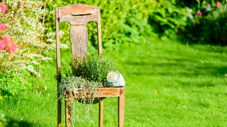 upcycled chair as planter
