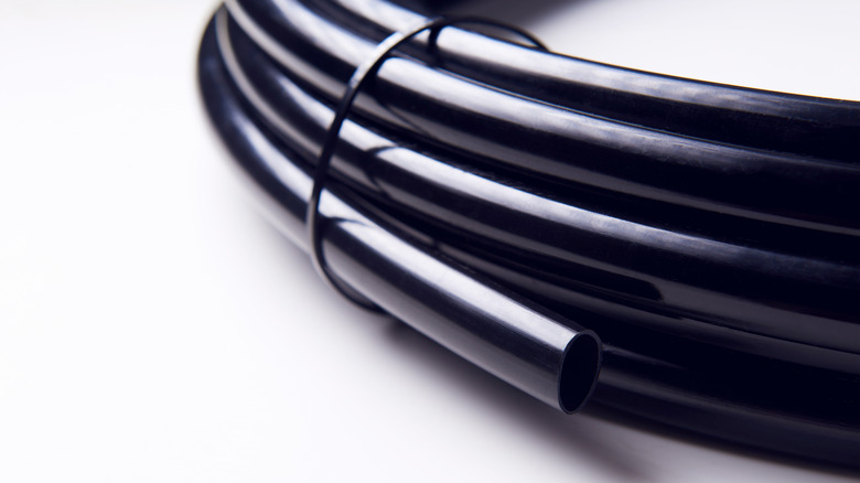 a coil of black hose