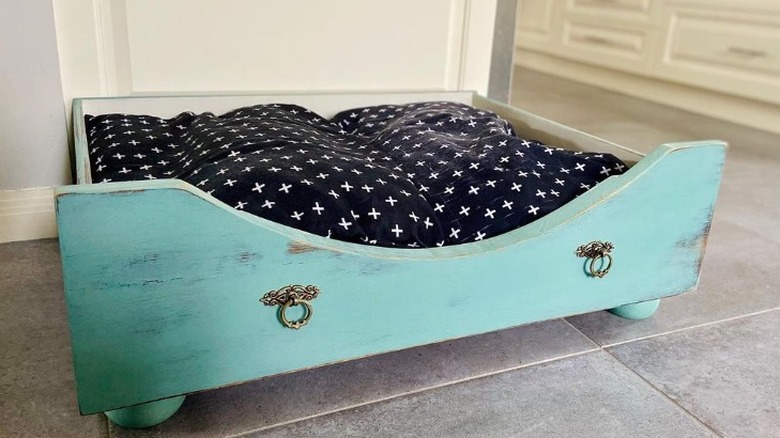 Aqua pet bed from drawer