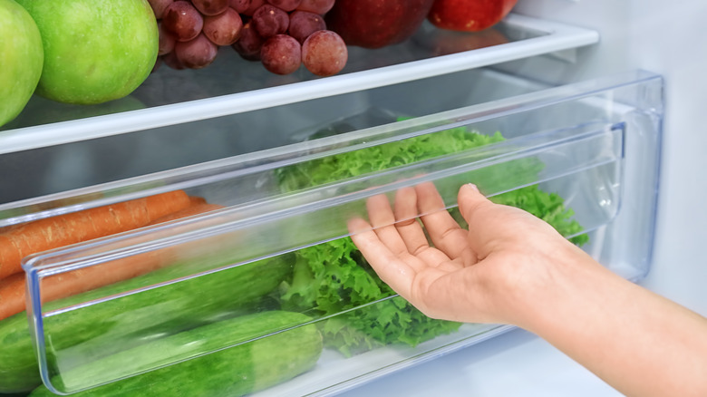 Crisper drawer in refrigerator