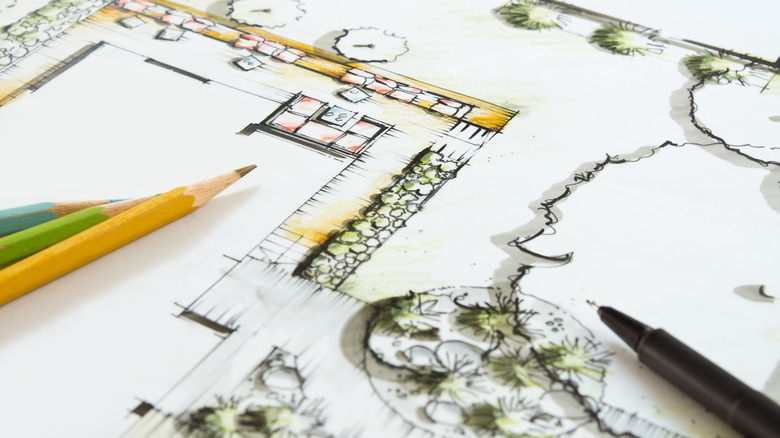 Planning landscape and garden