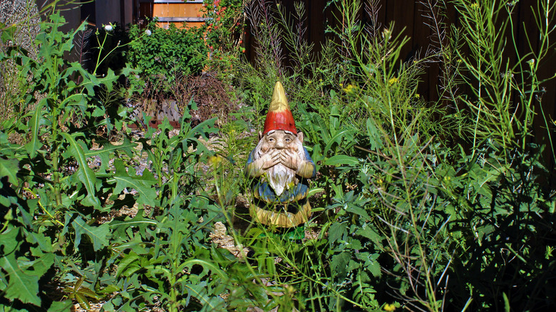 an old garden gnome surrounded by weeds