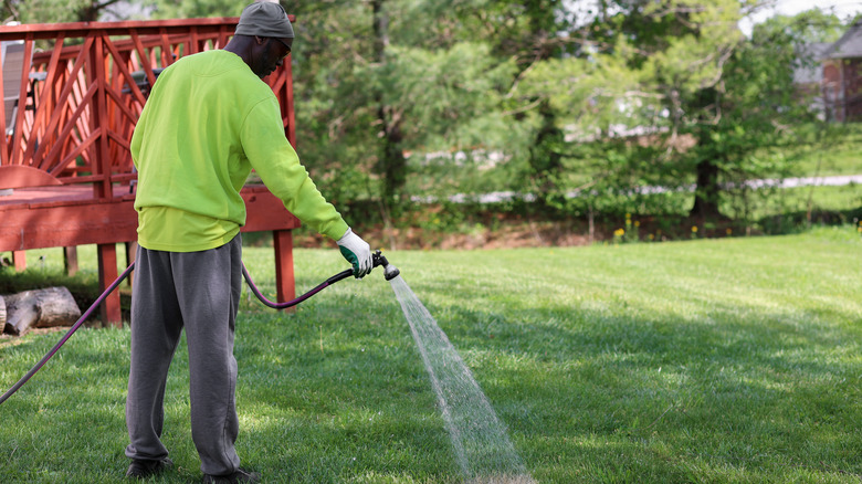 man watering grass