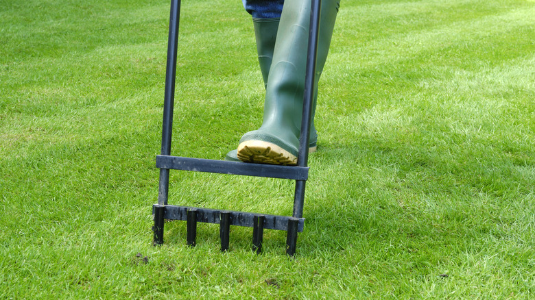 person aerating grass