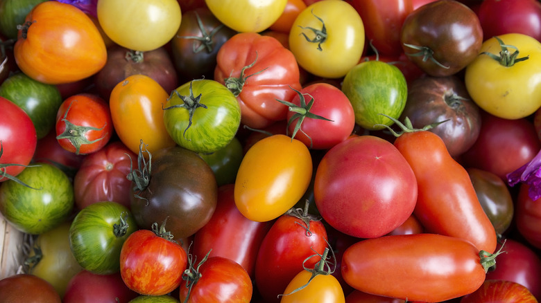 Assortment of tomatoes