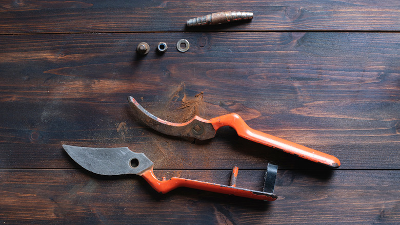 Rusty pruners dismantled for cleaning