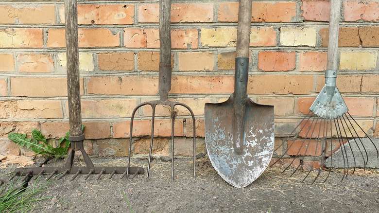 Rusty garden tools
