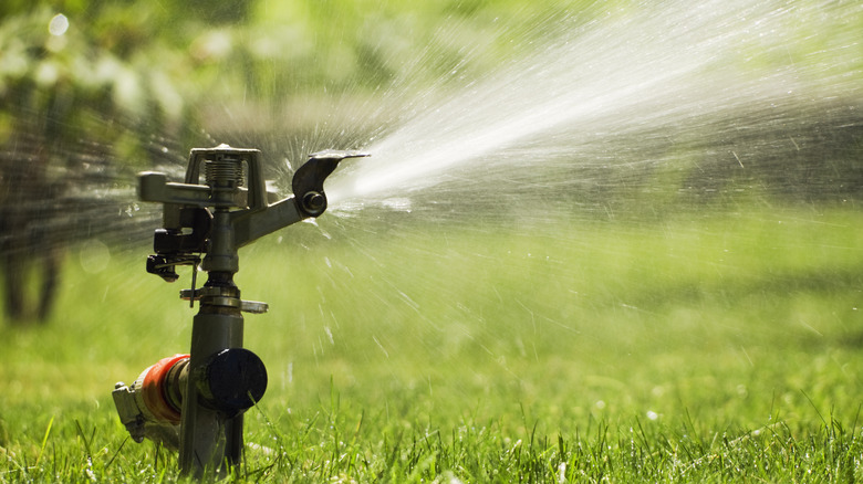 sprinkler in grass