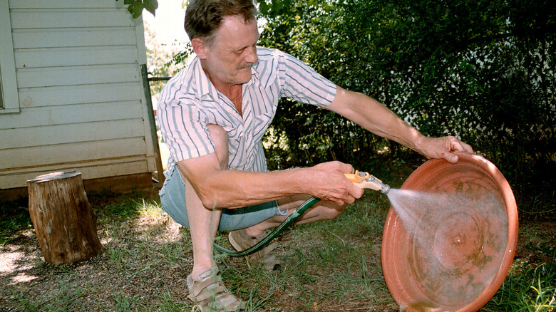 Waching a bird bath