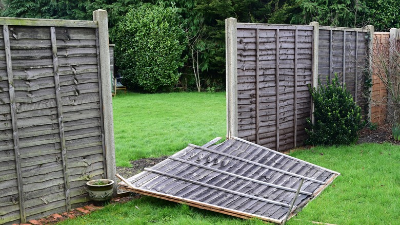 damaged fence 