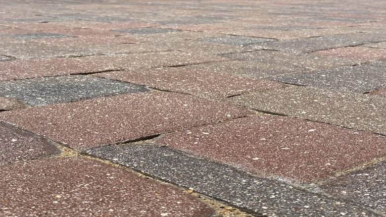 A ground view of exposed aggregate pavers used for a driveway