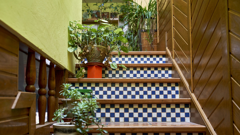 Home interior with potted plants on the staircase as decor