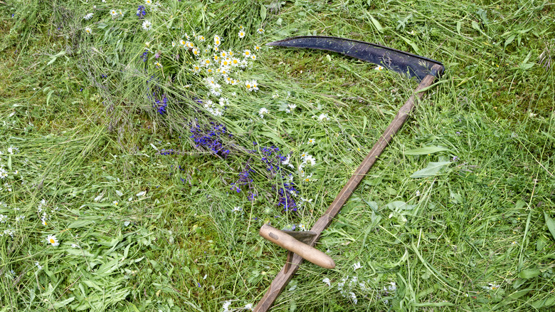 scythe in cut grass