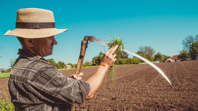 farmer holding scythe