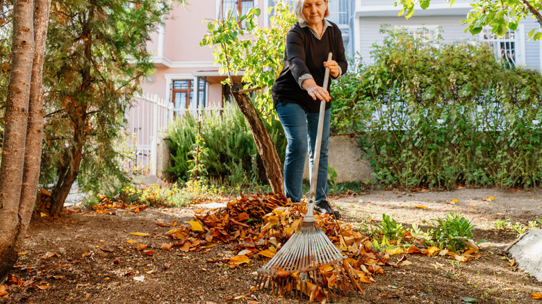 Woman raking leaves in backyard