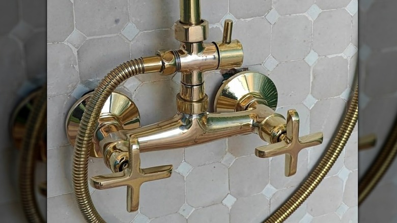 Unlacquered brass shower fixture