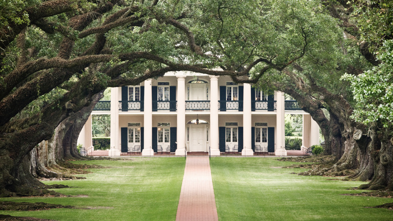 Antebellum pillars on white house