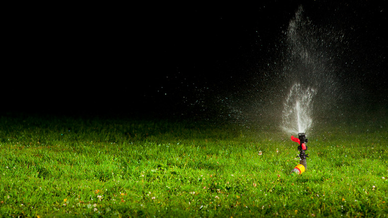 sprinkler watering at night
