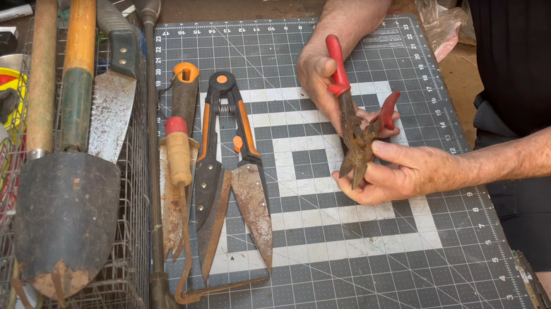 man examining rusted outdoor tools over worktable