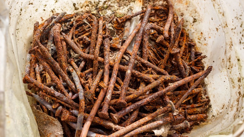 Bent and rusted nails in a jar