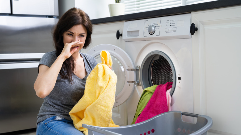 The Ins and Outs of a Clean Washing Machine