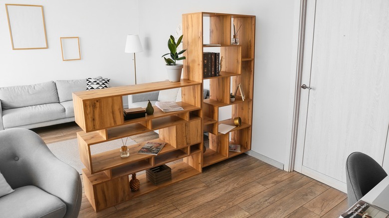 Bookshelf dividing living spaces