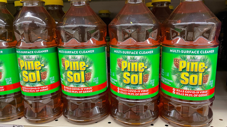 Pine-Sol lined up on a store shelf