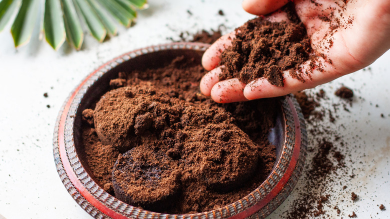 Coffee grounds in a bowl