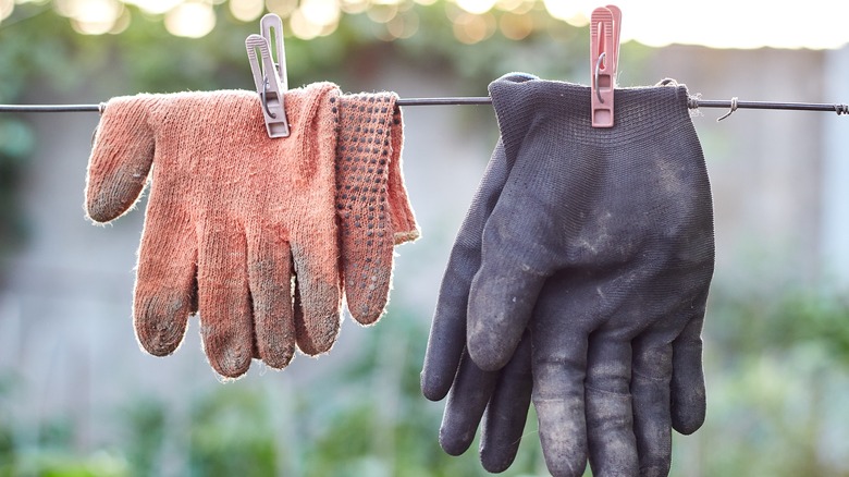 Garden gloves drying 