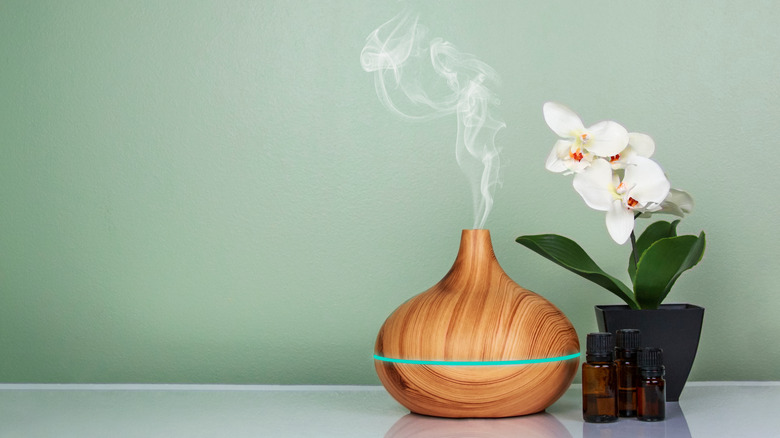 fragrance diffuser and orchid plant