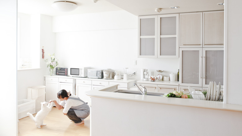 A washed out bright kitchen