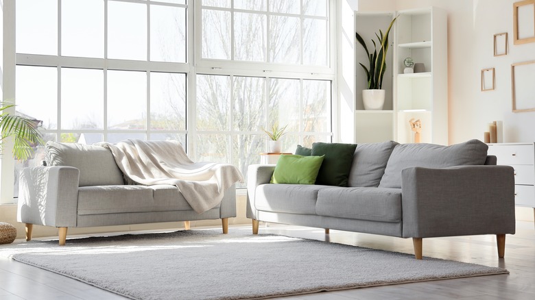 grey neutral living room space