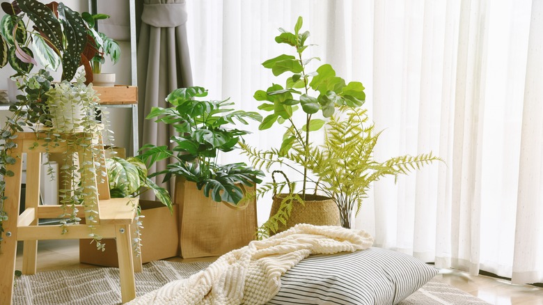 Cozy room with artificial plants