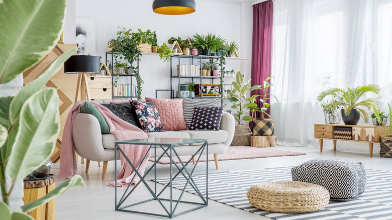 Colorful home with plants