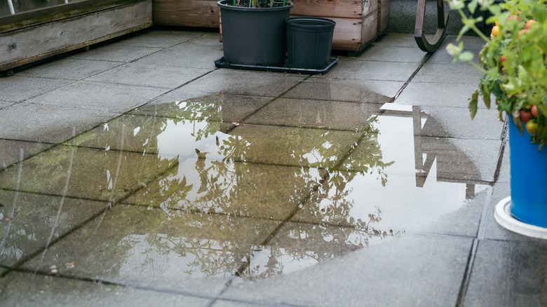 Flooded backyard patio 