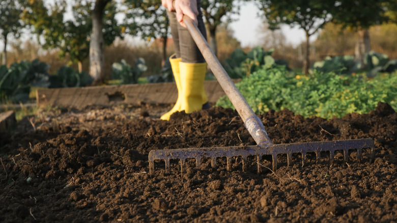 Raking to even ground