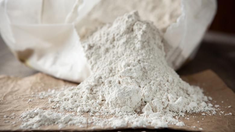 Bag of diatomaceous earth