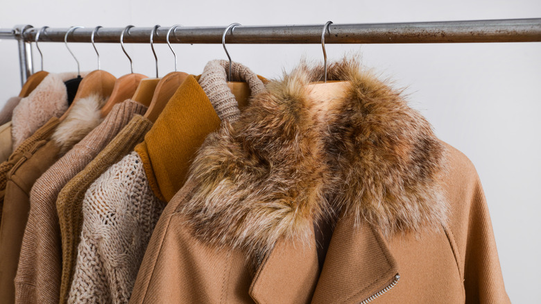 coats hanging in closet space