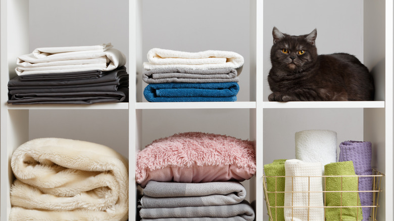 linen closet with folded clothes