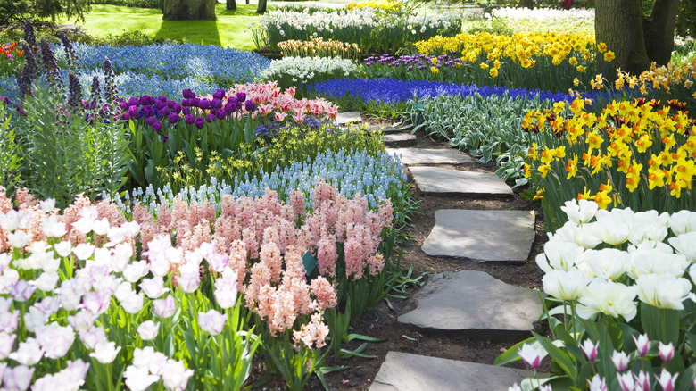 Flagstone path through garden