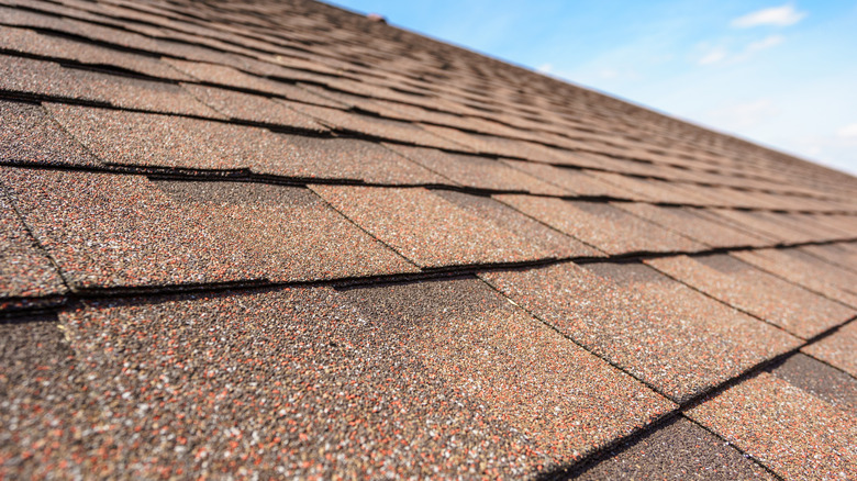 asphalt shingles