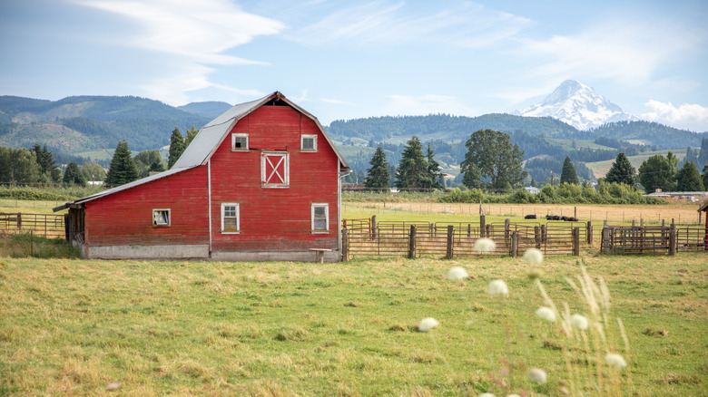 red barn