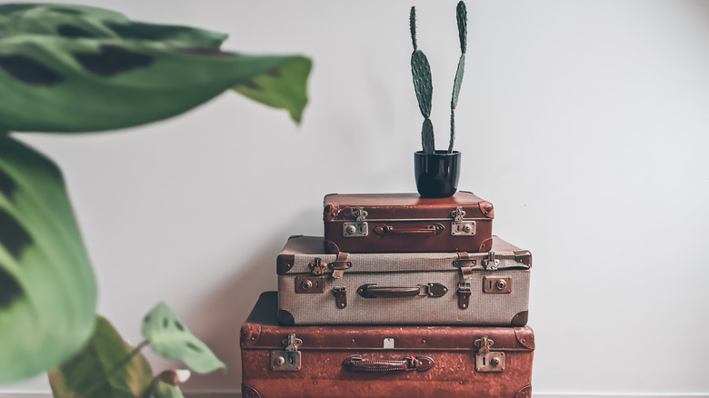 a stack of vintage trunks 