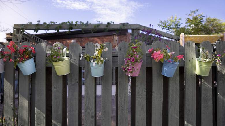 flower pots hanging on fence