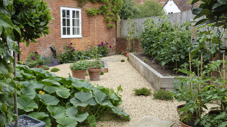 A home's gravel garden area