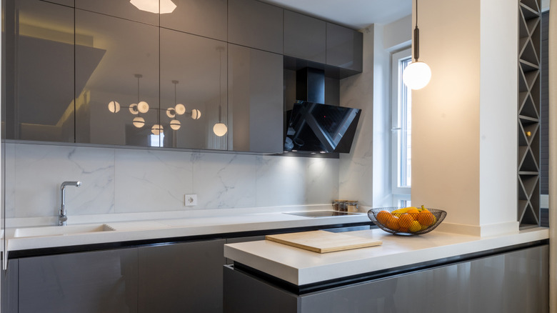 Kitchen with dark, glossy slab cabinet doors