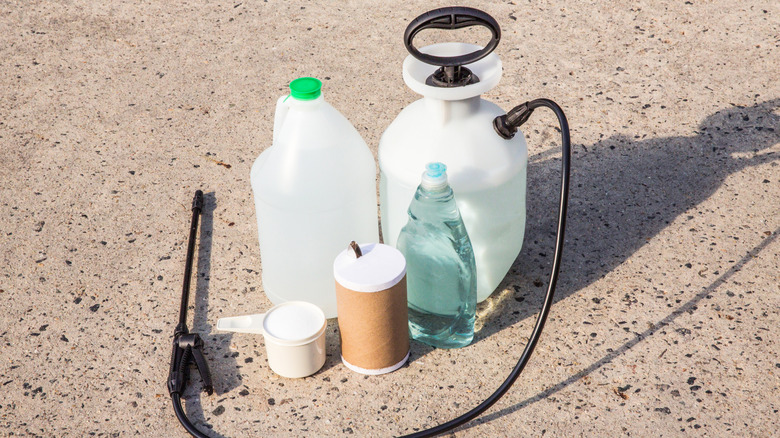 Vinegar and other ingredients for DIY weed killer are arranged on patio