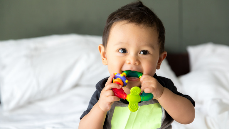 Kid with dirty toy in mouth